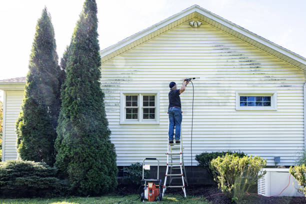 Professional Pressure Washing in Mountain City, TN