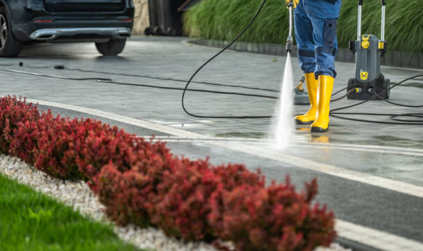 Best House Exterior Washing  in Mountain City, TN
